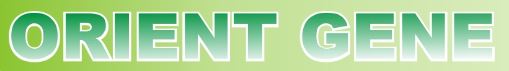 Jual Rapid Test Orient Gene - Pusatgrosiralkes.com
