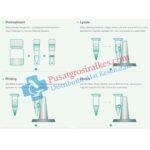 Jual Reagen PCR ZYBIO Harga Terbaik - Pusatgrosiralkes (3)
